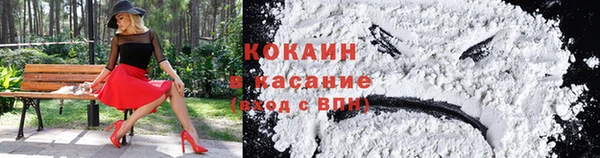 прущая мука Пересвет