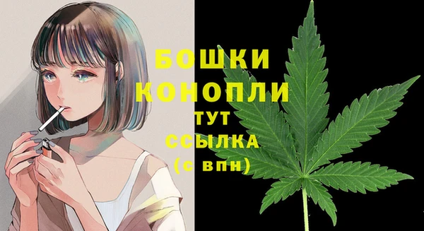 прущая мука Пересвет