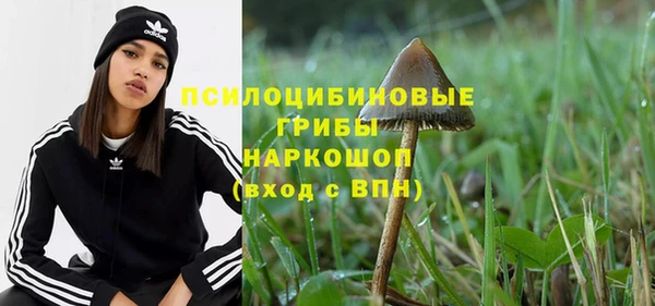 бошки Переславль-Залесский