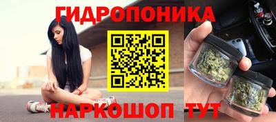 стафф Абинск