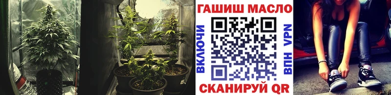 ТГК THC oil  darknet наркотические препараты  Асино 