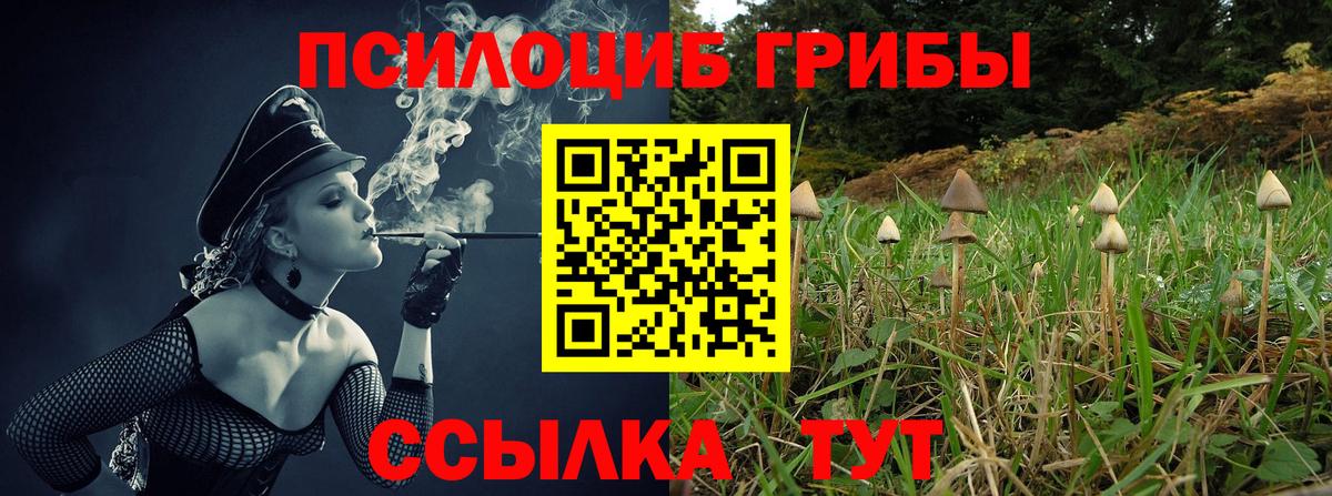 Галлюциногенные грибы мицелий  Псилоцибиновые грибы GOLDEN TEACHER  Вход с VPN  Асино 