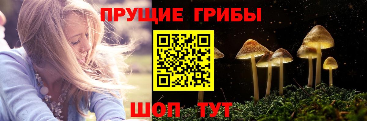 Псилоцибиновые грибы мухоморы Асино