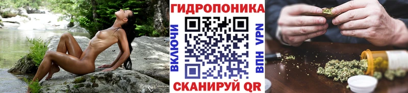 мега tor  Асино  Каннабис планчик  купить наркотик 