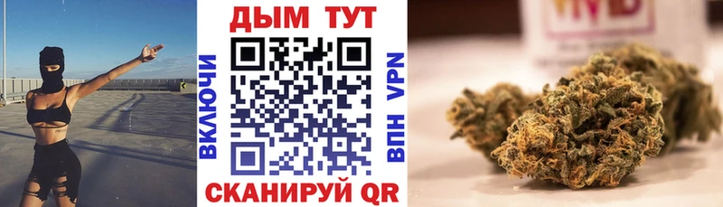 Конопля марихуана Асино
